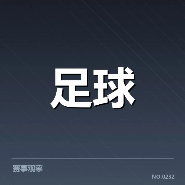 主要的球迷组织和文化表现形式